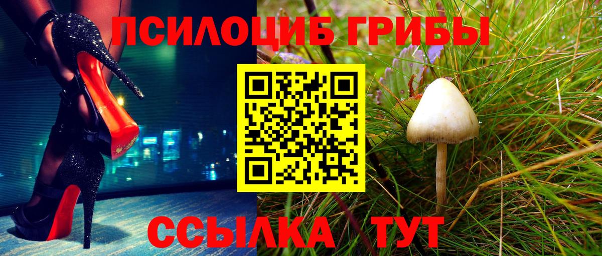 Псилоцибиновые грибы Psilocybe  Вход с VPN  Белогорск 
